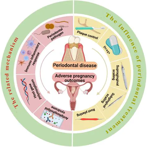 The Importance of Periodontal Health in Pregnancy