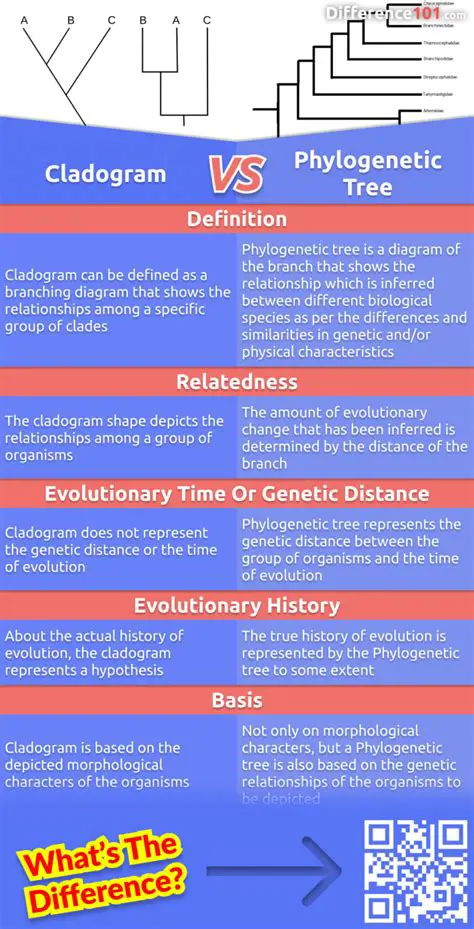 The Importance of Phylogenetic Trees and Cladograms