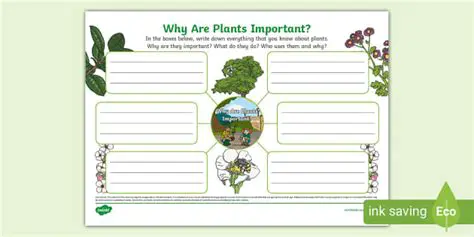 The Importance of Plant Museum