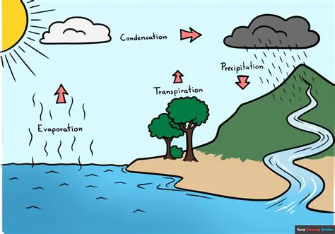 The Importance of Preserving the Water Cycle