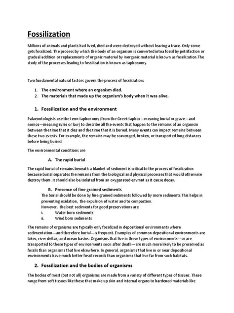 The Importance of Rapid Burial