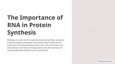 The Importance of RNA Synthesis