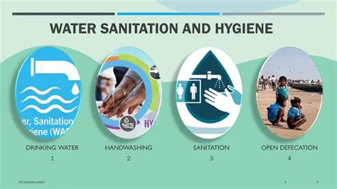 The Importance of Sanitation in Disease Prevention