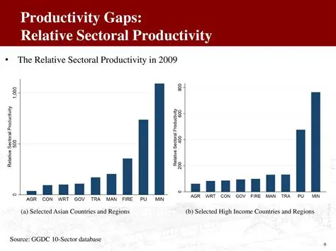 The Importance of Sectoral Productivity Analysis