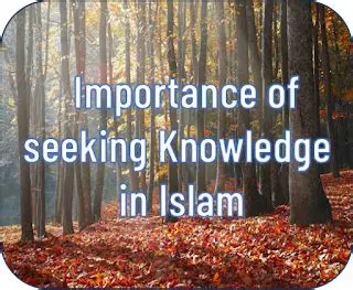 The Importance of Seeking Biblical Knowledge