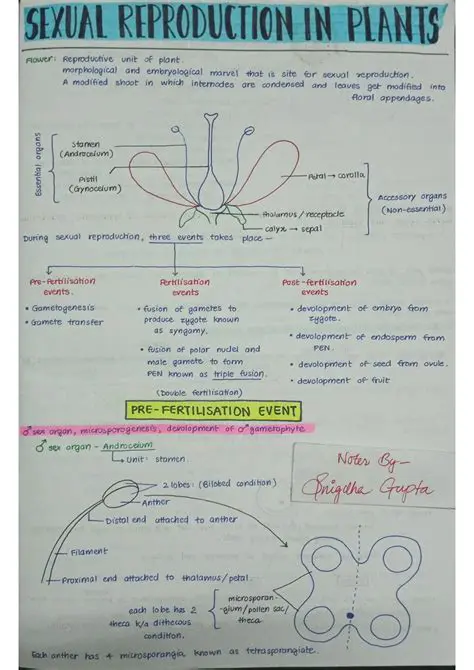 The Importance of Sexual Reproduction in Plants