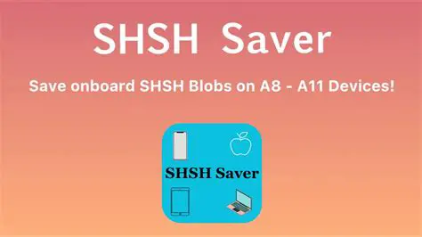 The Importance of SHSH Blobs