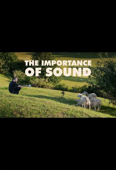 The Importance of Sound in MudSplat