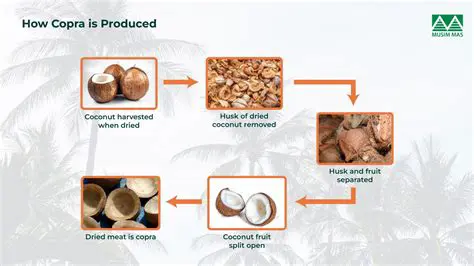 The Importance of Stirring in Coconut Oil Production