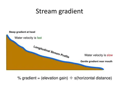 The Importance of Stream Gradient