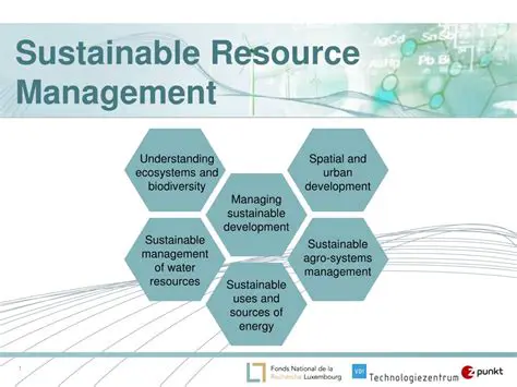The Importance of Sustainable Resource Management
