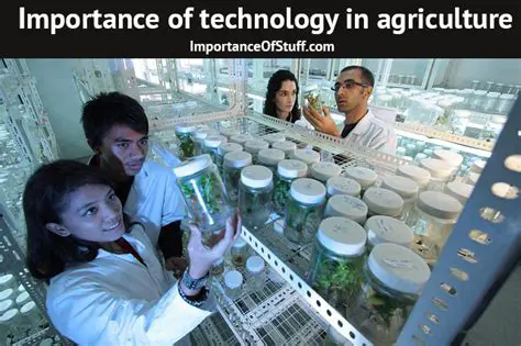 The Importance of Technology in Agriculture