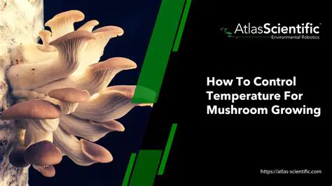 The Importance of Temperature and Humidity in Oyster Mushroom Cultivation