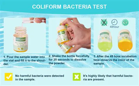 The Importance of Testing Coliform Bacteria