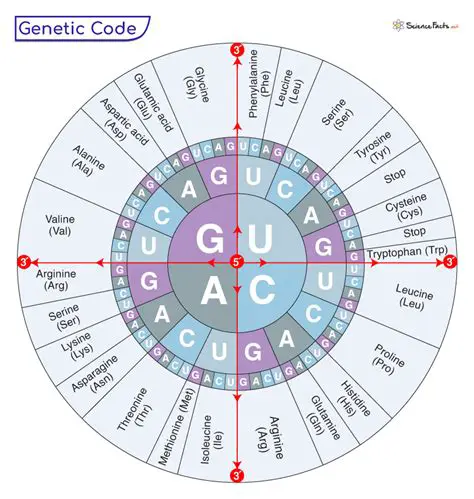 The Importance of the Genetic Code in Modern Biology