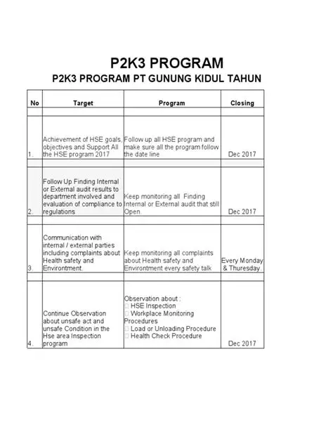 The Importance of the P2K3 Program