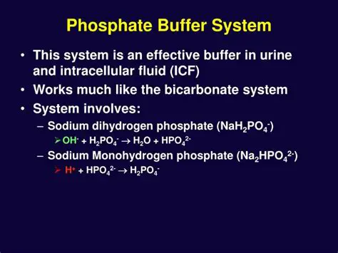 The Importance of the Phosphate Buffer System