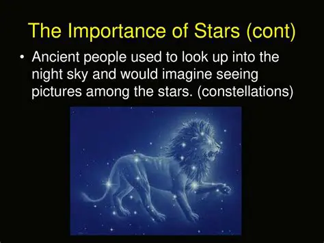 The Importance of the Stars