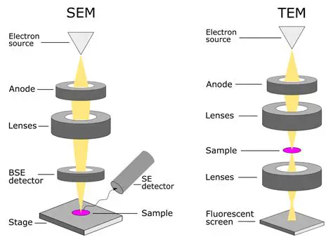 The Importance of Thin Samples in Microscopy