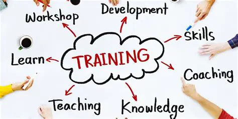 The Importance of Training in the Workplace