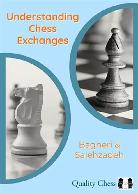 The Importance of Understanding Chess Strategies