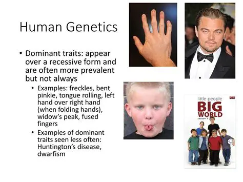 The Importance of Understanding Dominant and Recessive Traits