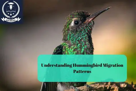The Importance of Understanding Migration Patterns