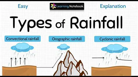 The Importance of Understanding Rainfall Patterns