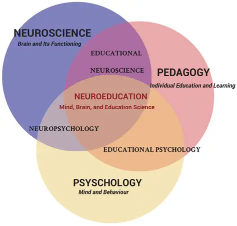 The Importance of Understanding Student Plans
