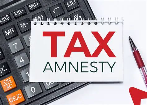 The Importance of Understanding Tax Amnesty Facilities