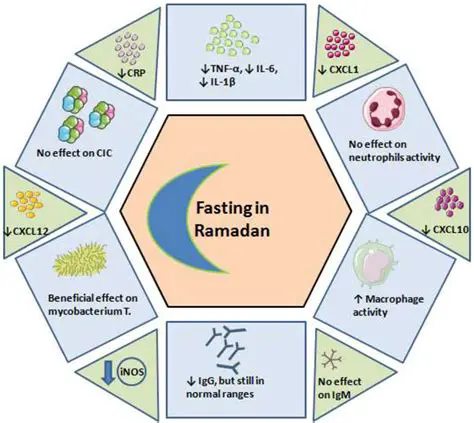 The Importance of Understanding the Effects of Ramadan Fasting on Oxidative Stress