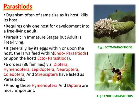 The Importance of Utilization of Parasitoids in IPM