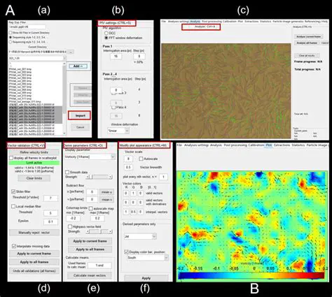 The Importance of Vector Cleanup in PIV Analysis