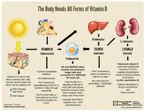 The Importance of Vitamin D in Breast Cancer