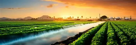 The Importance of Water in Agriculture