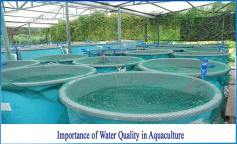 The Importance of Water Quality in Aquaculture