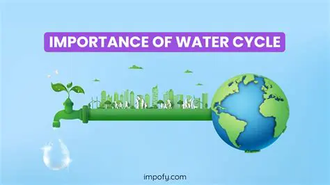 The Importance of Water Ratio