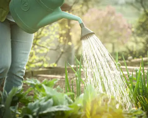 The Importance of Watering Times in Gardening