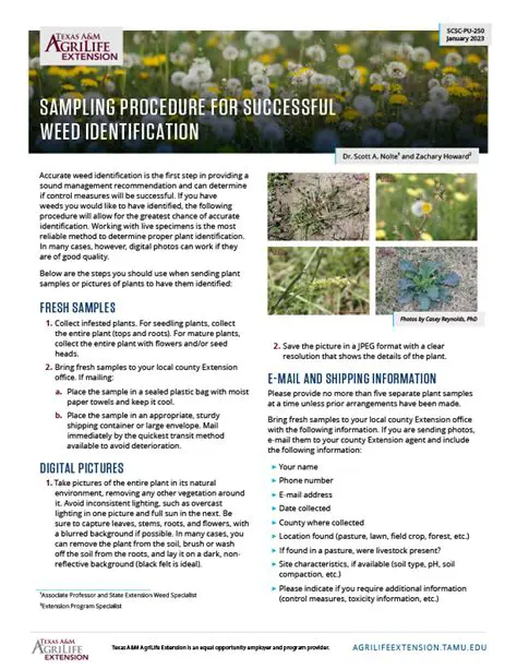 The Importance of Weed Sampling