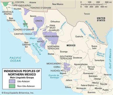 The Indigenous Group of Mexico