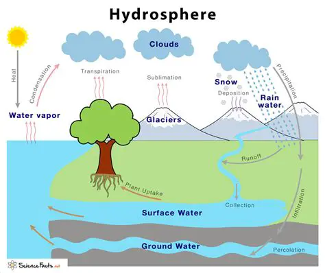 The Interaction Between the Atmosphere and the Hydrosphere