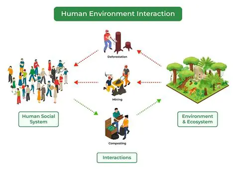 The Interaction between the Person and the Environment