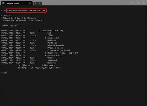 The Issue with Sudo and Symlinks