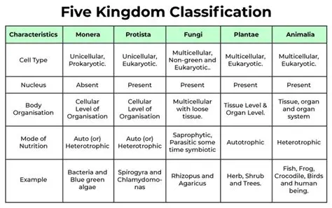 The Kingdom Classification System