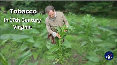 The Legacy of Tobacco in Virginia