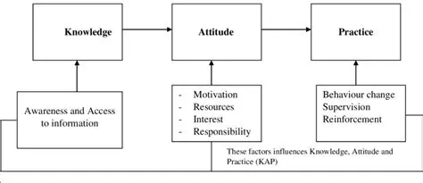 The Level of Knowledge and Attitudes of Students of USU FK 2017 for Stretch Marks