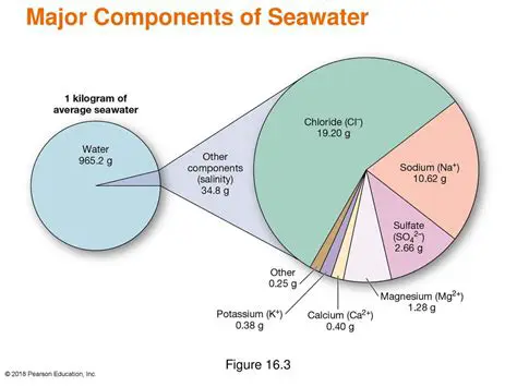 The Major Components of Seawater