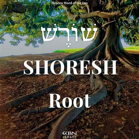 The Meaning of the Shoresh