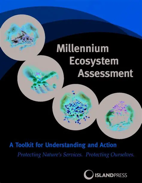 The Millennium Ecosystem Assessment