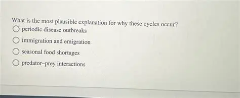 The Most Plausible Explanation